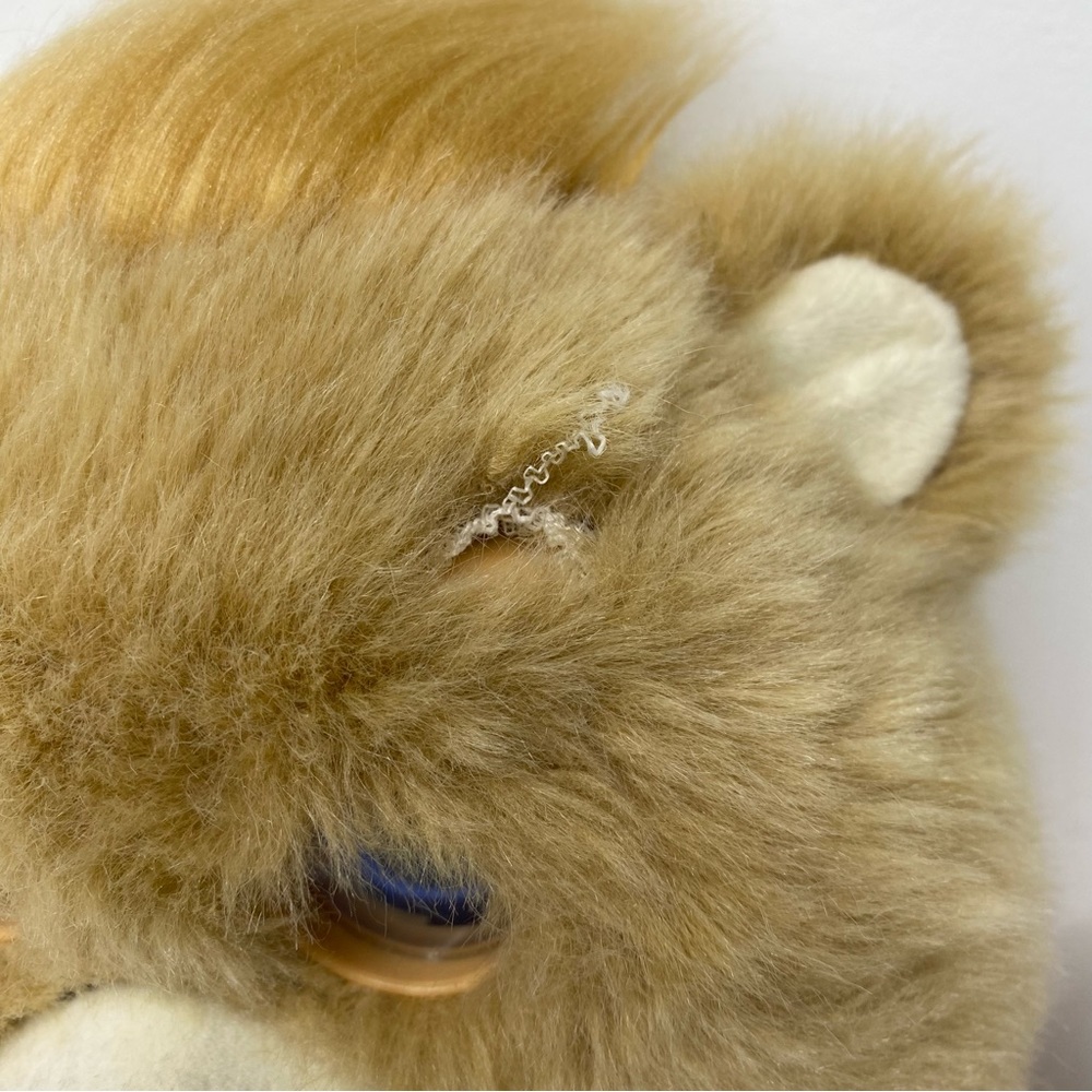 Animated Teddy Ruxpin - Picture 7 of 16